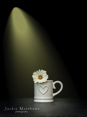 three images merged mug and flower extended brush for light with noise wm.jpg
