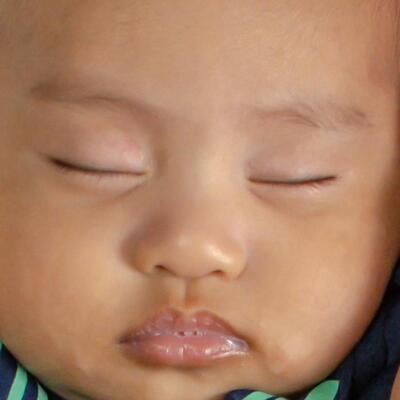 DSC_4729 Crop.jpg