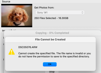 Screen Shot 2025-06-15 at 10.14.34 am.png